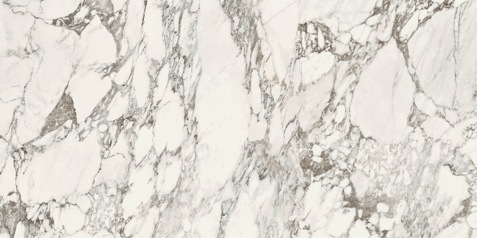 Maximum-slabs-full-size-arabescato-white