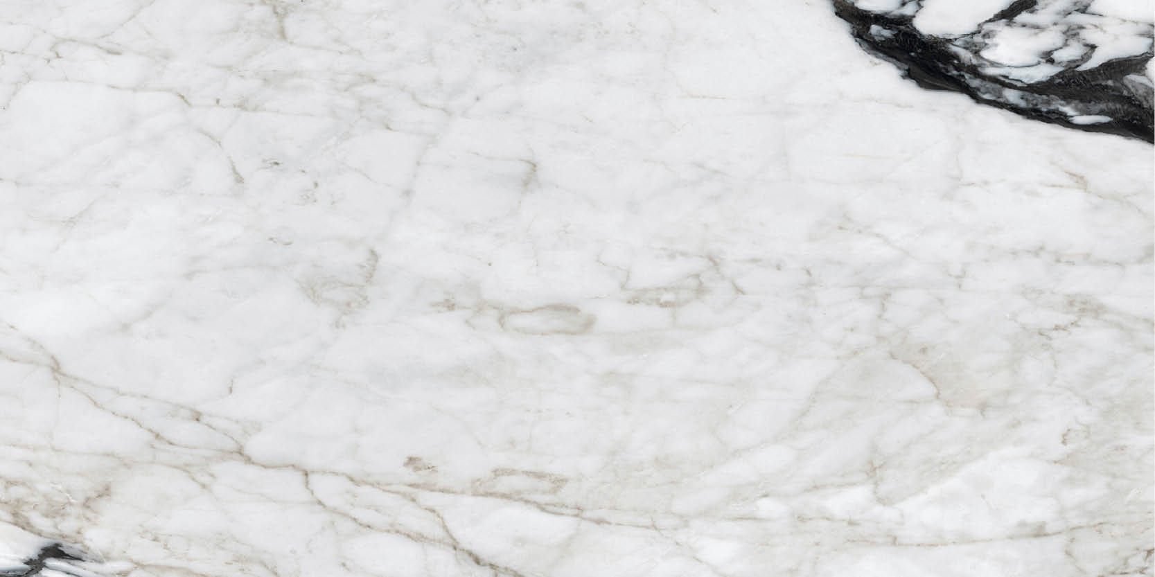 Maximum-slabs-full-size-calacatta-altissimo7