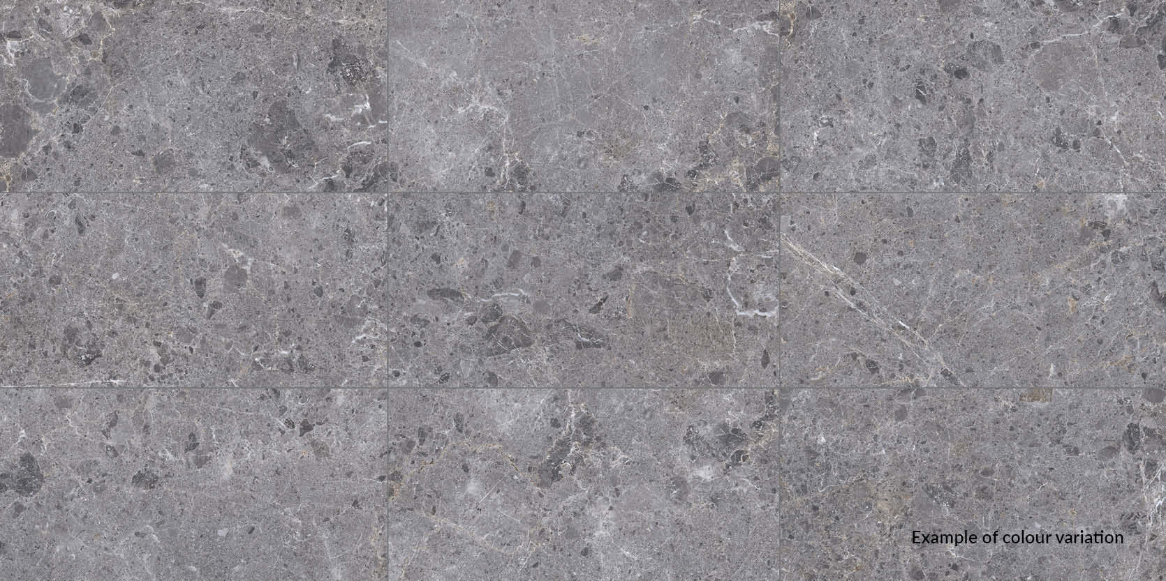 tile-full-size-arctic-gris-variation