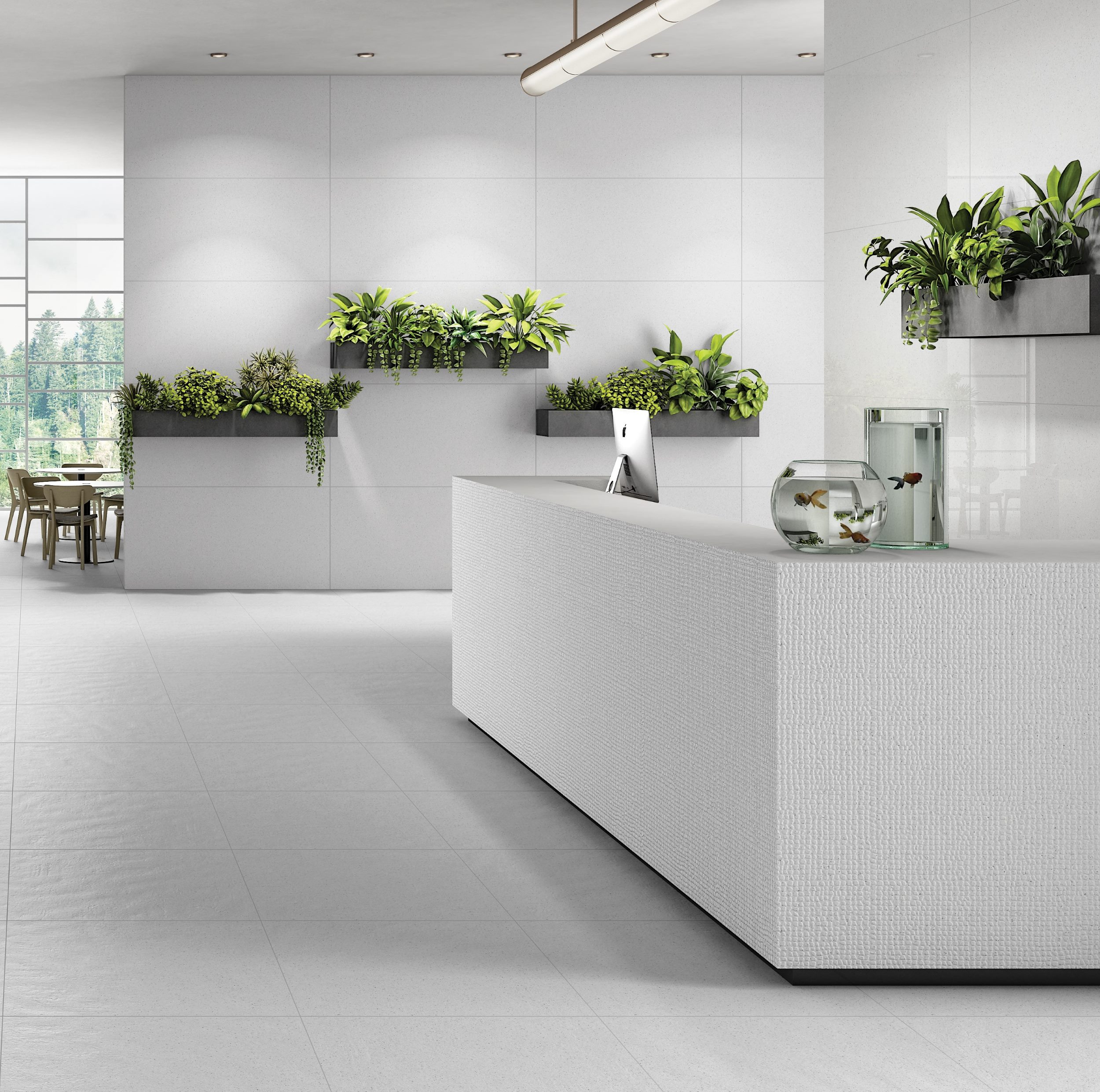 3 SILVER CHALK (2500) 82%