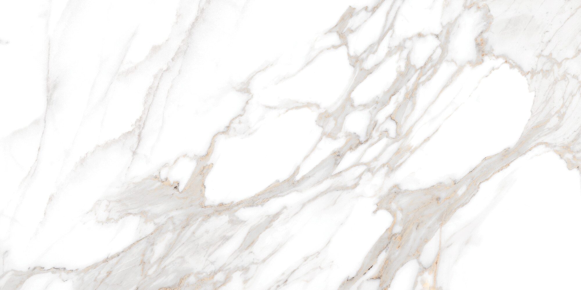 LIVIA_60x120cm_C16 (2000) 99%