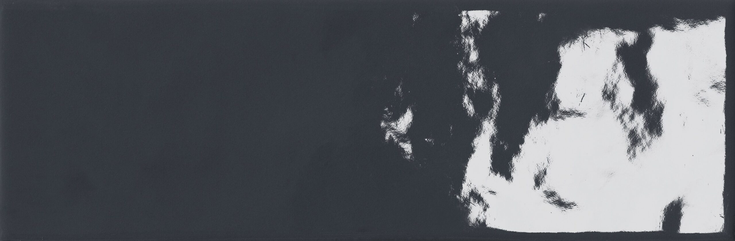 nuances_min_petunia nera lux (2953) 95%