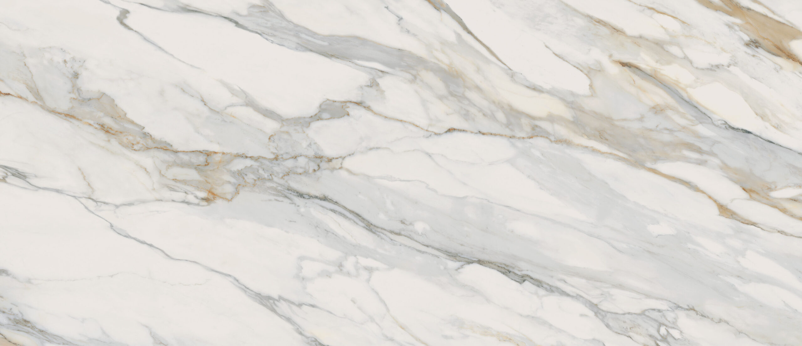 tile-and-maximum-slab-perpetual-venato-gold-sammys-designer-flooring-1