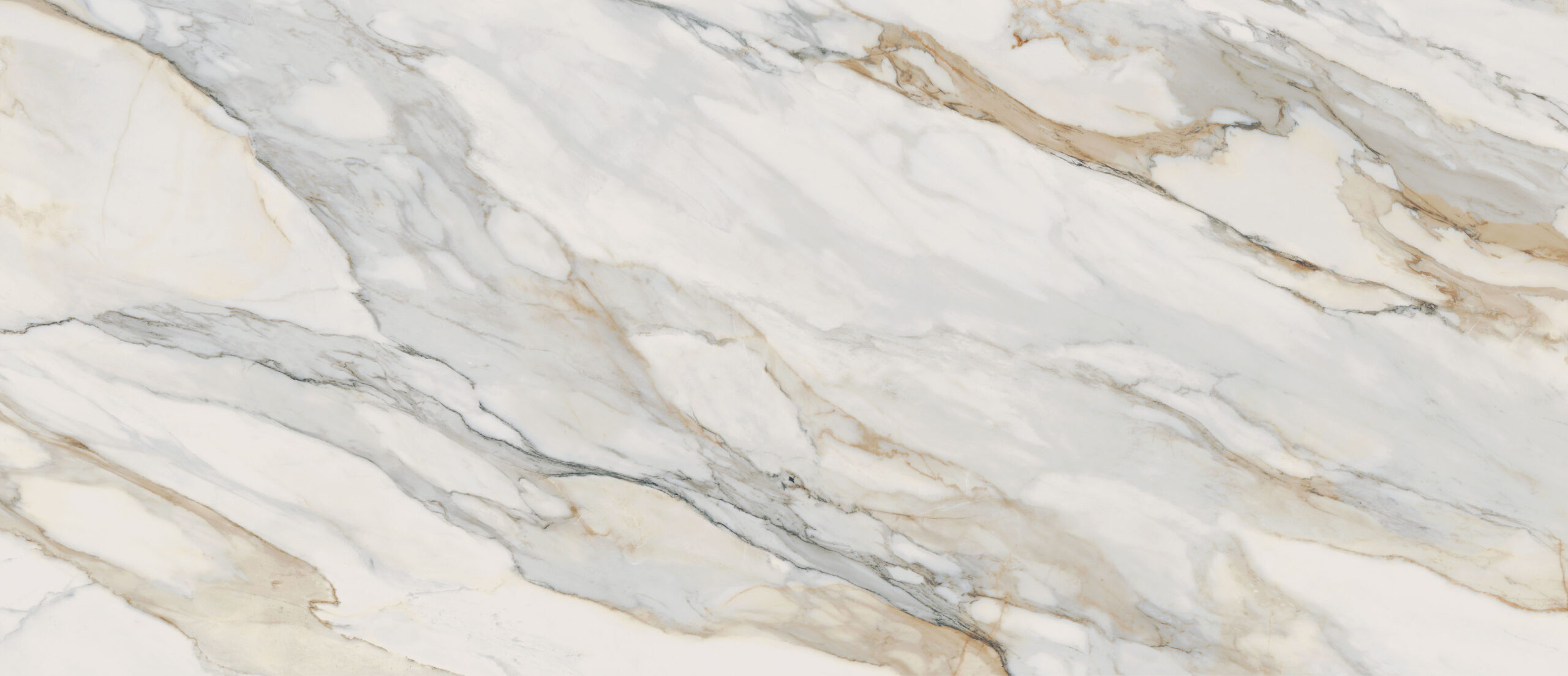 tile-and-maximum-slab-perpetual-venato-gold-sammys-designer-flooring-2