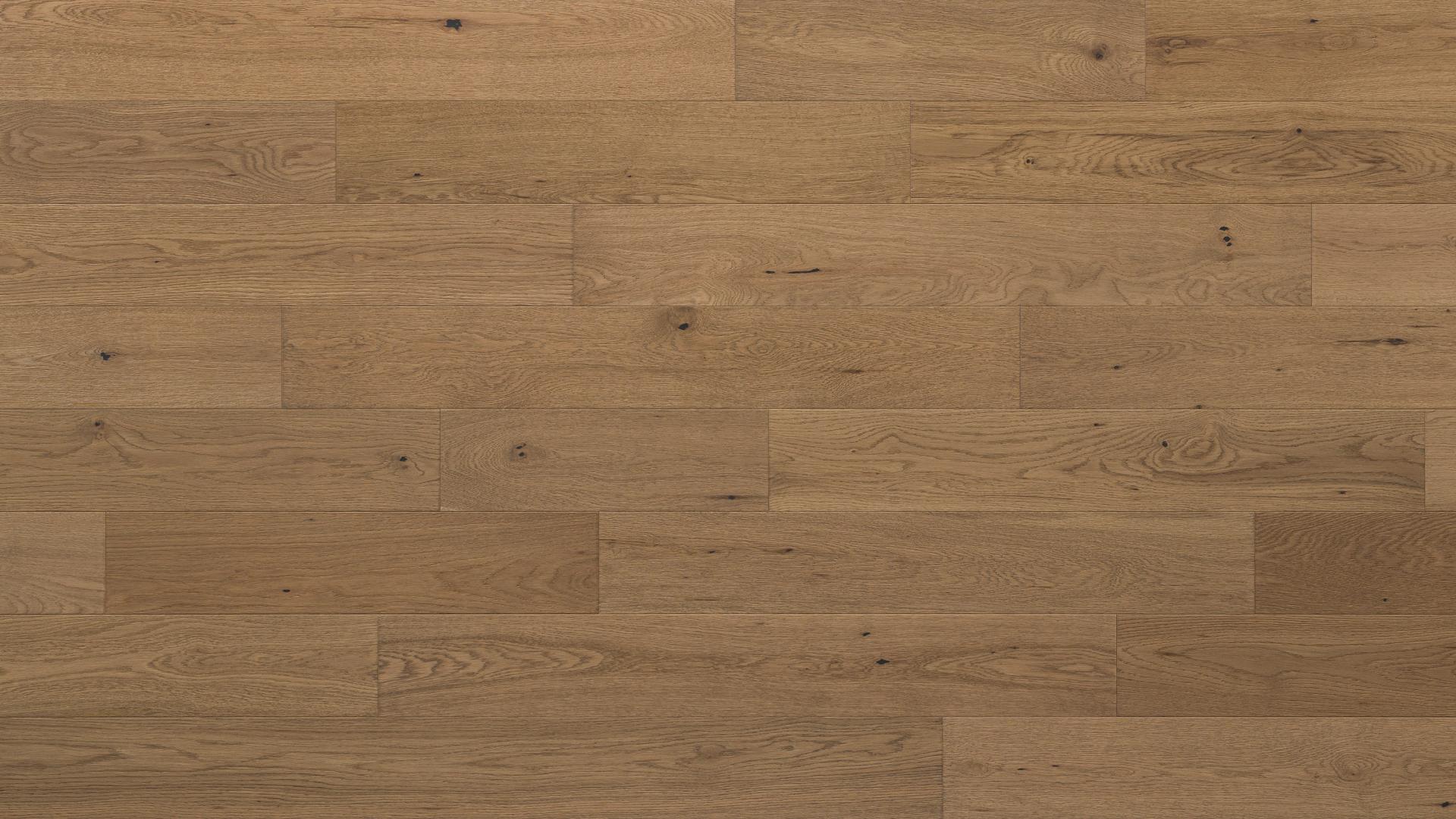 sammys-designer-flooring-engineered-hardwood-progressives-brushed-oak-king-shepherd-2